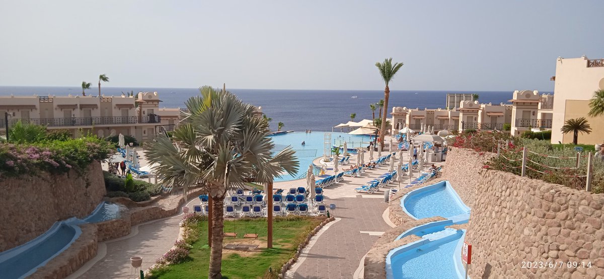 #sharmelsheikh