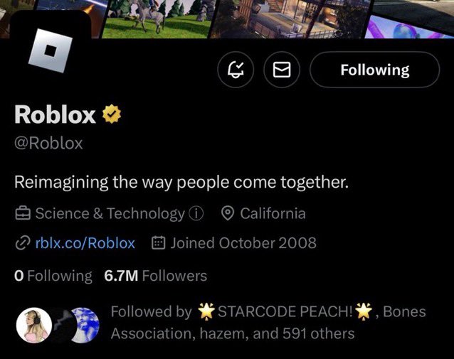 Roblox Hate Accounts (RTC Blocklist Twitter) 