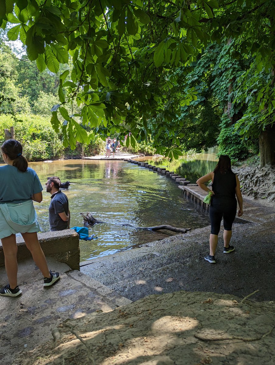 @lagrimacanta Abi sen biliyon bu işleri he, işte meşhur Stepping Stones #KostenloseNaturwanderung #FreeTours