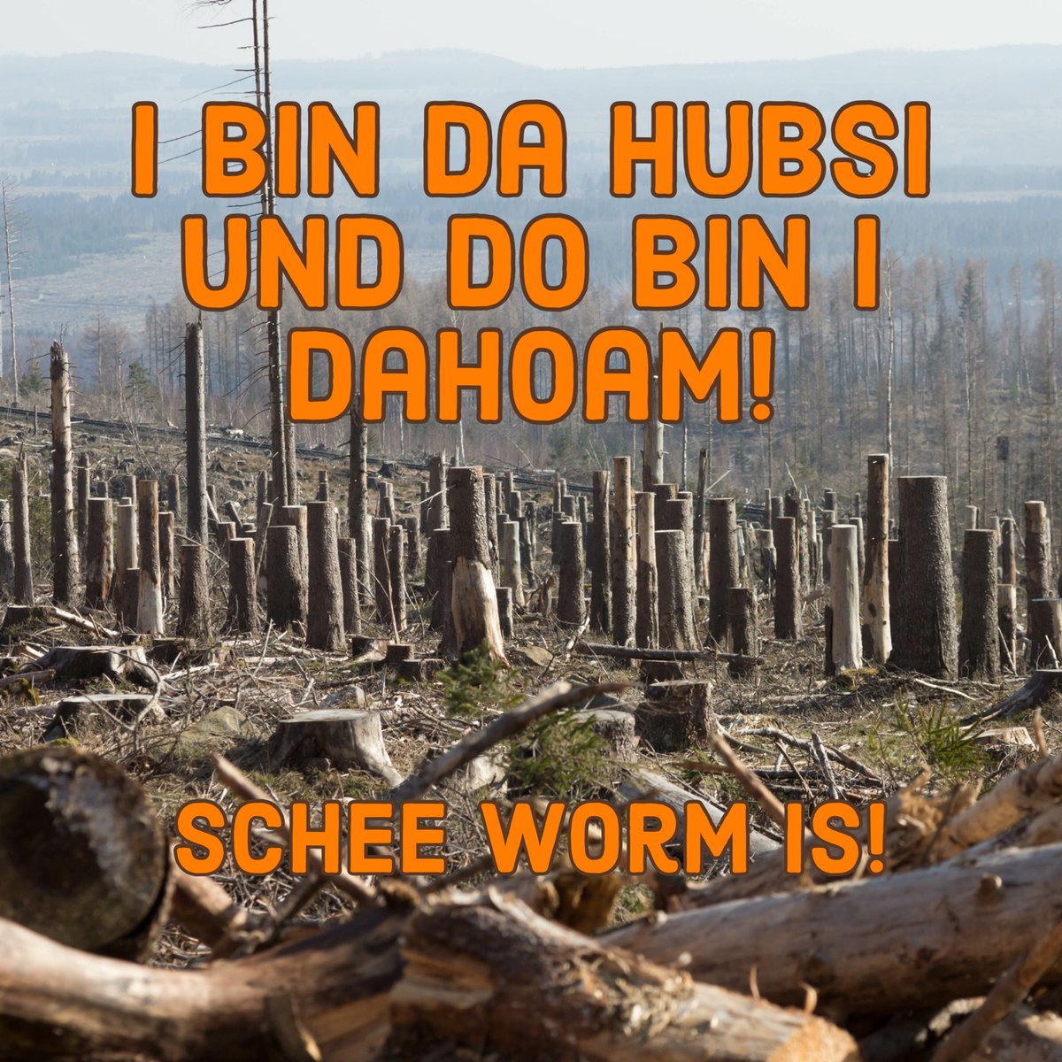 Zukunft in Niederbayern…

#klimaschmutzlobby
#fünfseidlashubsi