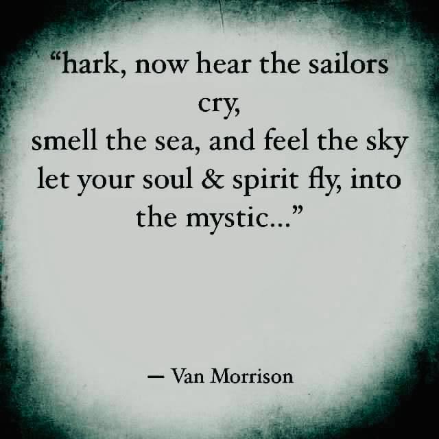 Love this song and was on my set list last weekend #musiclyrics #vanmorrison