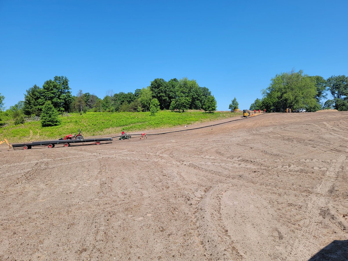 Dan Lucas tweet media