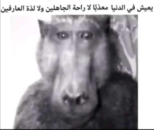 سعد (@iams3d) on Twitter photo 