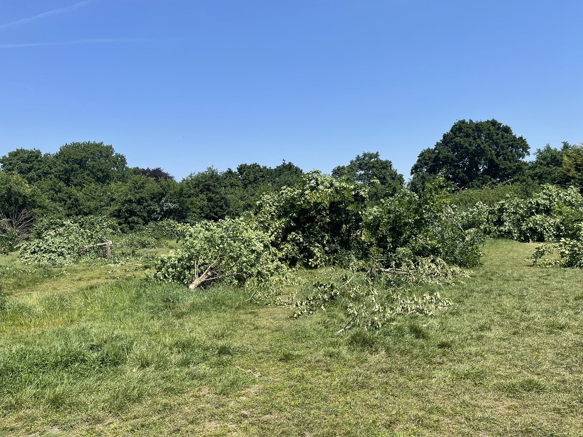 Shocking morning 114 trees butchered - area had a TPO in place -previous Metropolitan but now privately owned adjacent to the park used as a dog walking field for past 20 years- bats kingfisher, woodpecker many other birds mammals Living in the area @BBCSpringwatch @RSPBEngland