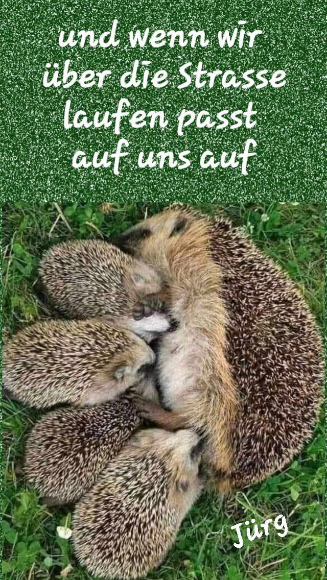 grujrefoh's tweet photo. https://t.co/GJOMgCvaAf