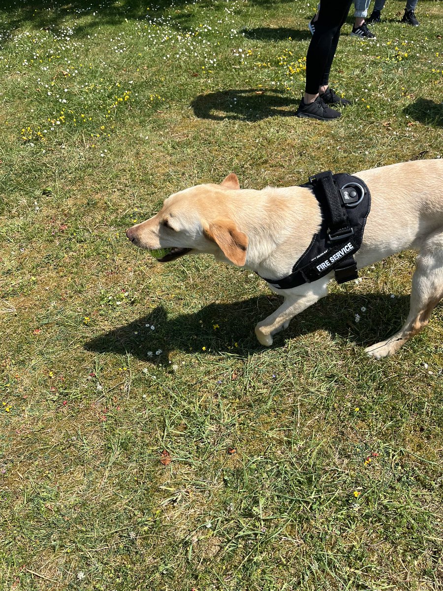 Erin McGinn tweet media