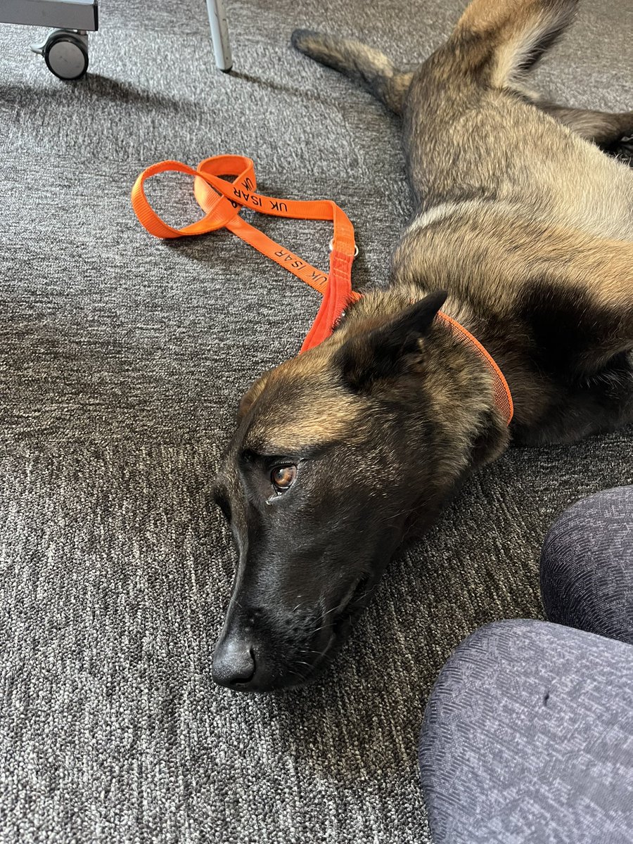 Erin McGinn tweet media