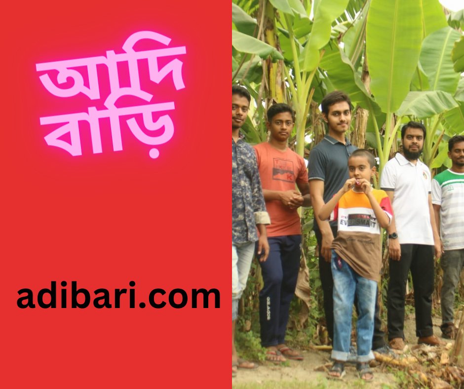 আদি বাড়ি