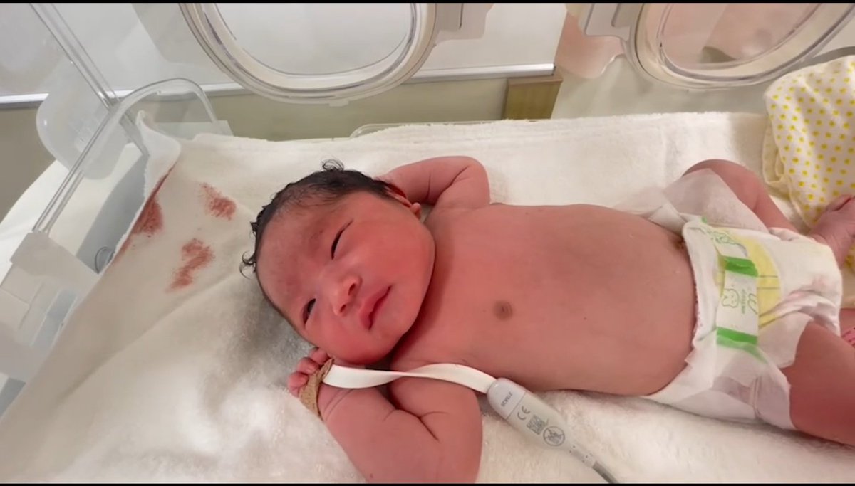 理比斗 tweet media