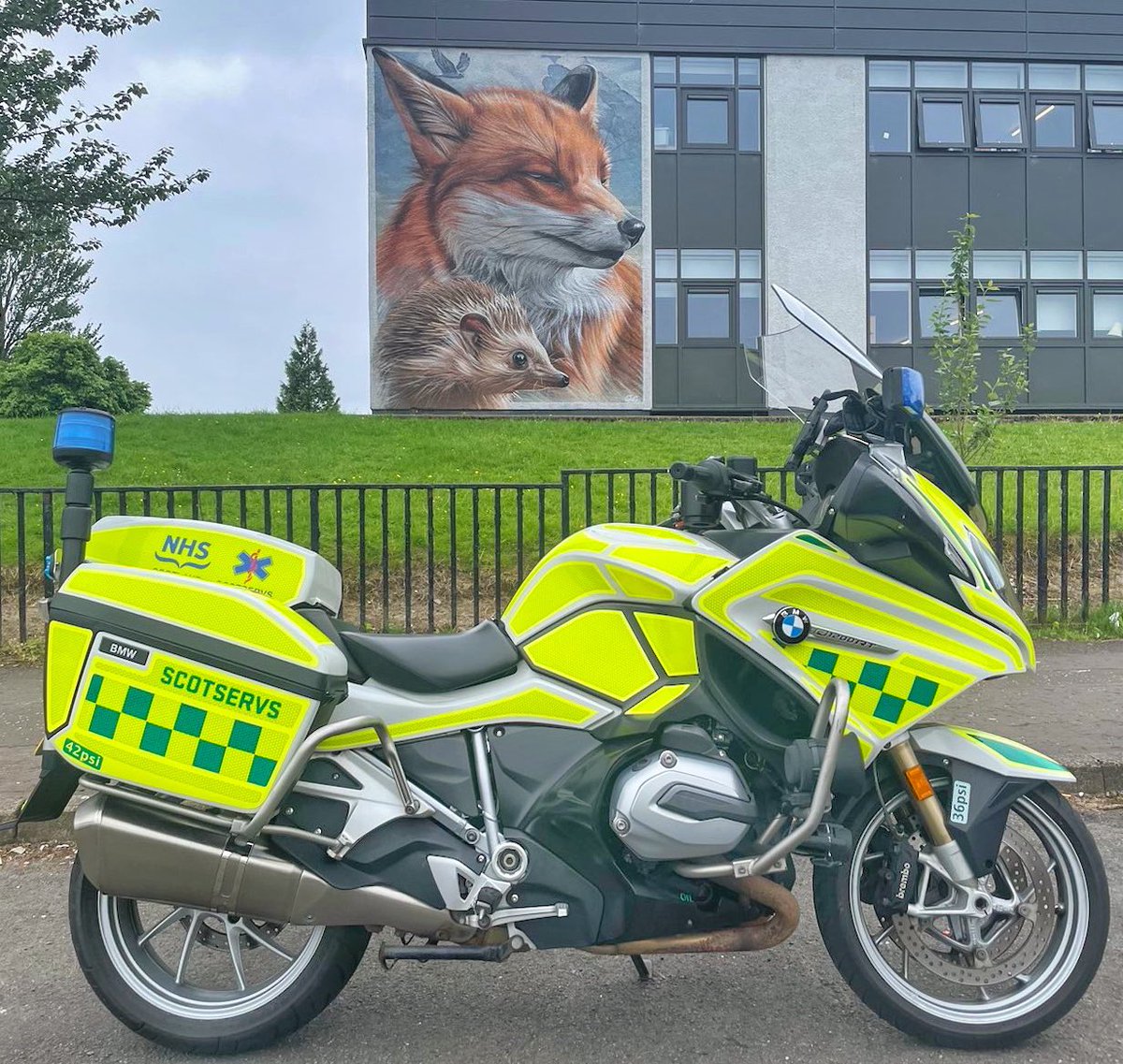 #Glasgow has a proud history of gorgeous #StreetArt

Saying goes “The fox knows many things, but the hedgehog knows one big thing'

So #fox or #hedgehog? 
#scotservs #Charity #NHSScot75
#NHSVolunteers #glasgowgraffiti #Volunteer #Ambulance
#Motorcycle #qeuh
Credit #SMUG #smugone