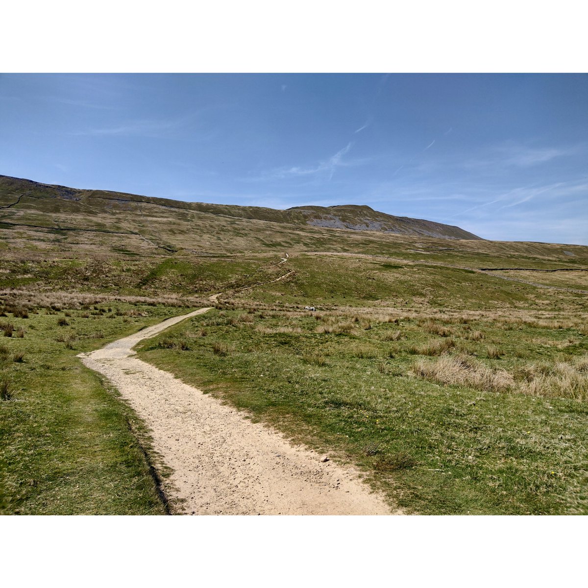 Fine weekend to bag #Whernside, highest of the three peaks at 736 metres - lots of walkers and a friendly atmosphere 
#HalifaxHipster #ThreePeaks
🏔️🚶