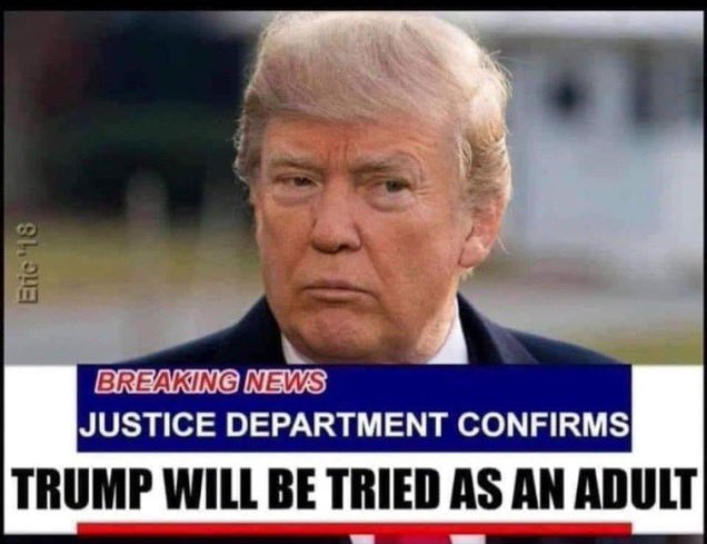 No Pardons;
No Plea Bargains;
No Special Privileges;
Charge him, try him;
Upon conviction, lock him up.

Because Justice matters ⚖️