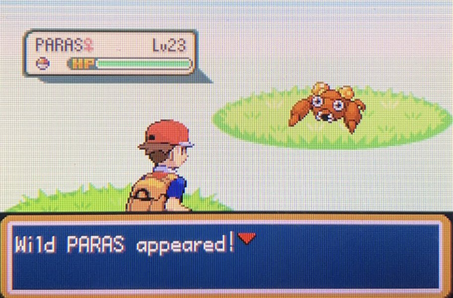 Shiny Paras! 4th Safari Shiny! 
1872 encounters #Safariweek2023
#safariweek #shinypokemon