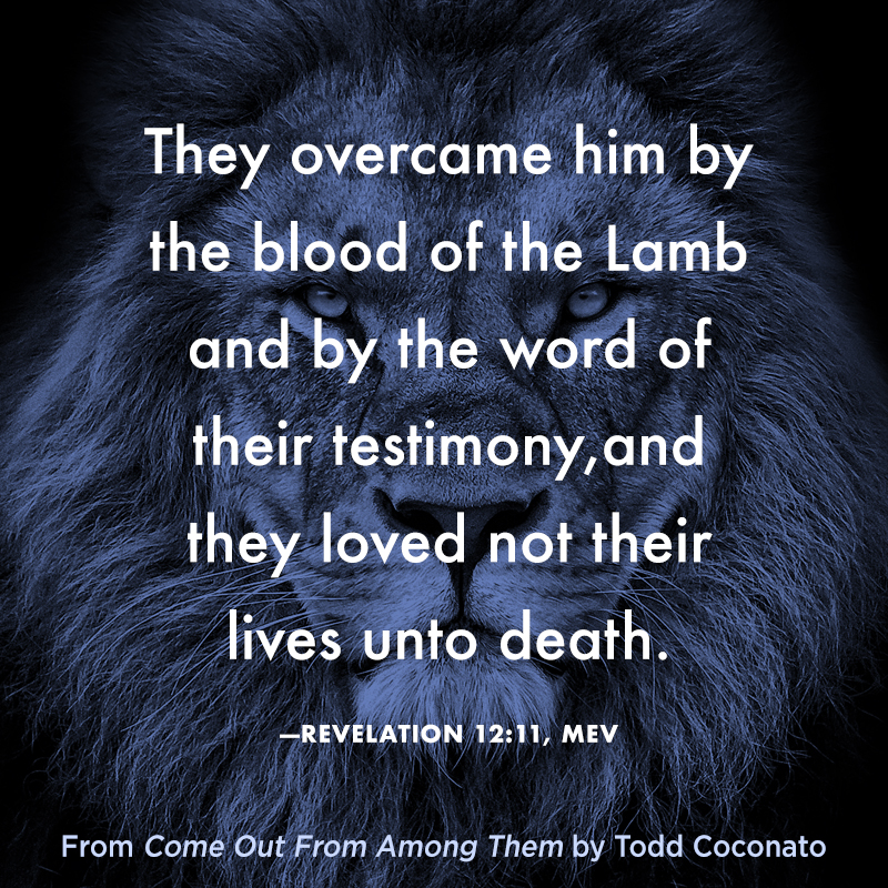 charismahouse's tweet image. In @ToddCoconato's new book, he shows God’s remnant warriors how to TRULY be set apart. Learn more at mycharismashop.com/products/come-…  #suchatimeasthis #setapart #godswarriors @Todd Coconato