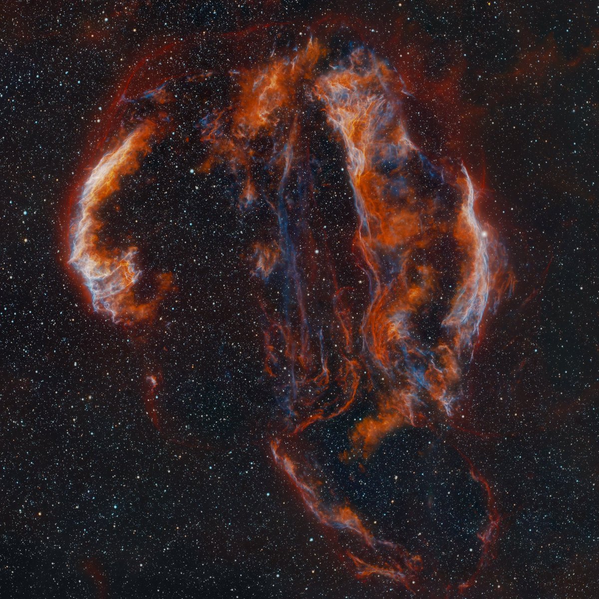 AJamesMcCarthy's tweet image. Even thousands of years after a supernova, the shockwave is still clearly visible moving through space. That’s what you’re seeing in the Veil Nebula, a bright supernova remnant near Cygnus, captured from my backyard. But what about something more recent, like a couple weeks old?