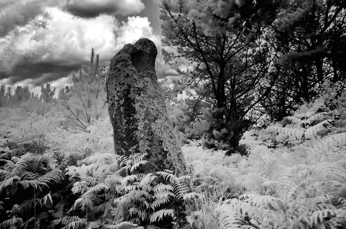 Long Rock Menhir, St Mary's, Isles of Scilly   #bnw #bnwphotography #blackandwhite #blackandwhitephotography #monochrome #standingstone #ancientsite #scilly