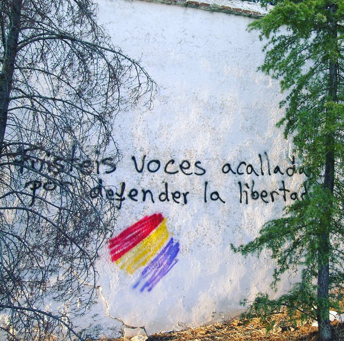 ARDE 🟥🟨🟪 tweet media