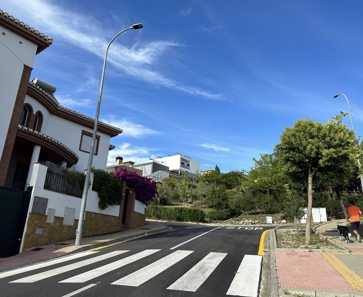 Aurora Suárez tweet media