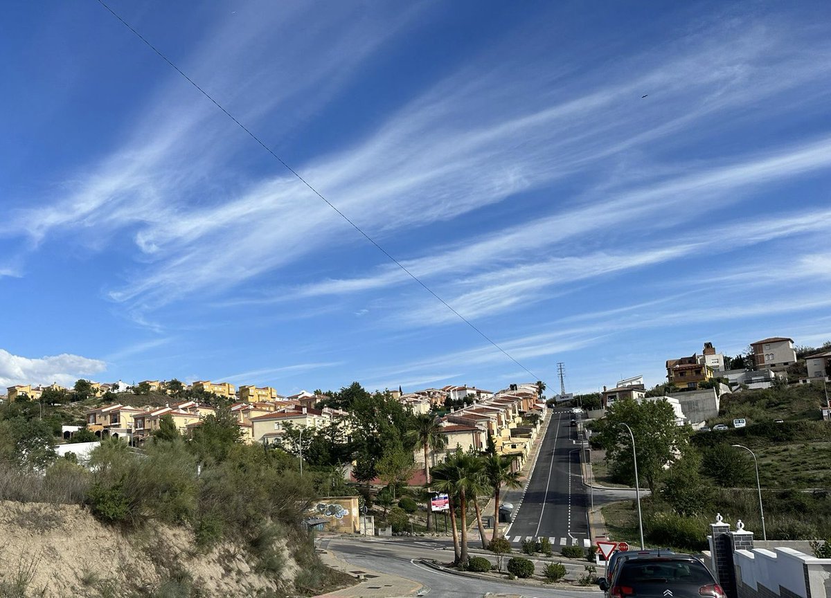 Aurora Suárez tweet media