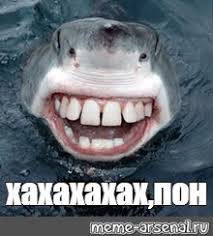 BigChimp#9737 tweet media