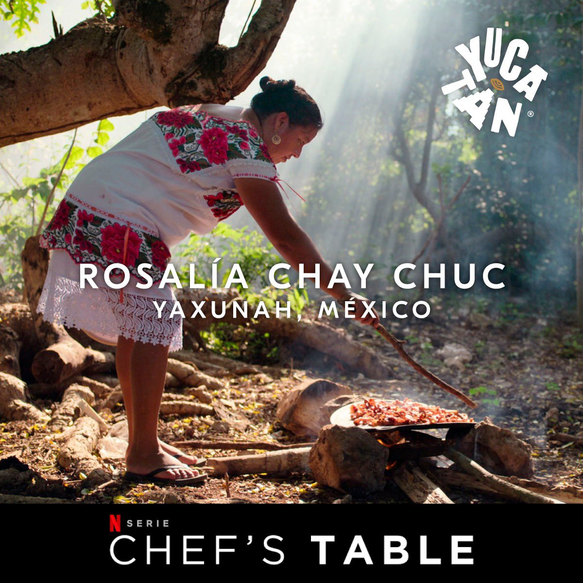 yatayoye's tweet photo. A propósito del capítulo Chef's Table BBQ con la chef yucateca Rosalía: SOLIDARIDAD con el pueblo que lucha por su salud y su agua en #Yucatán #Netflix FUERA GRANJAS DE @Keken_Mexico ALTO a la represión del @GobYucat #AguaSíCerdosNo #chefstablebbq https://t.co/8Ol8XSjEXg