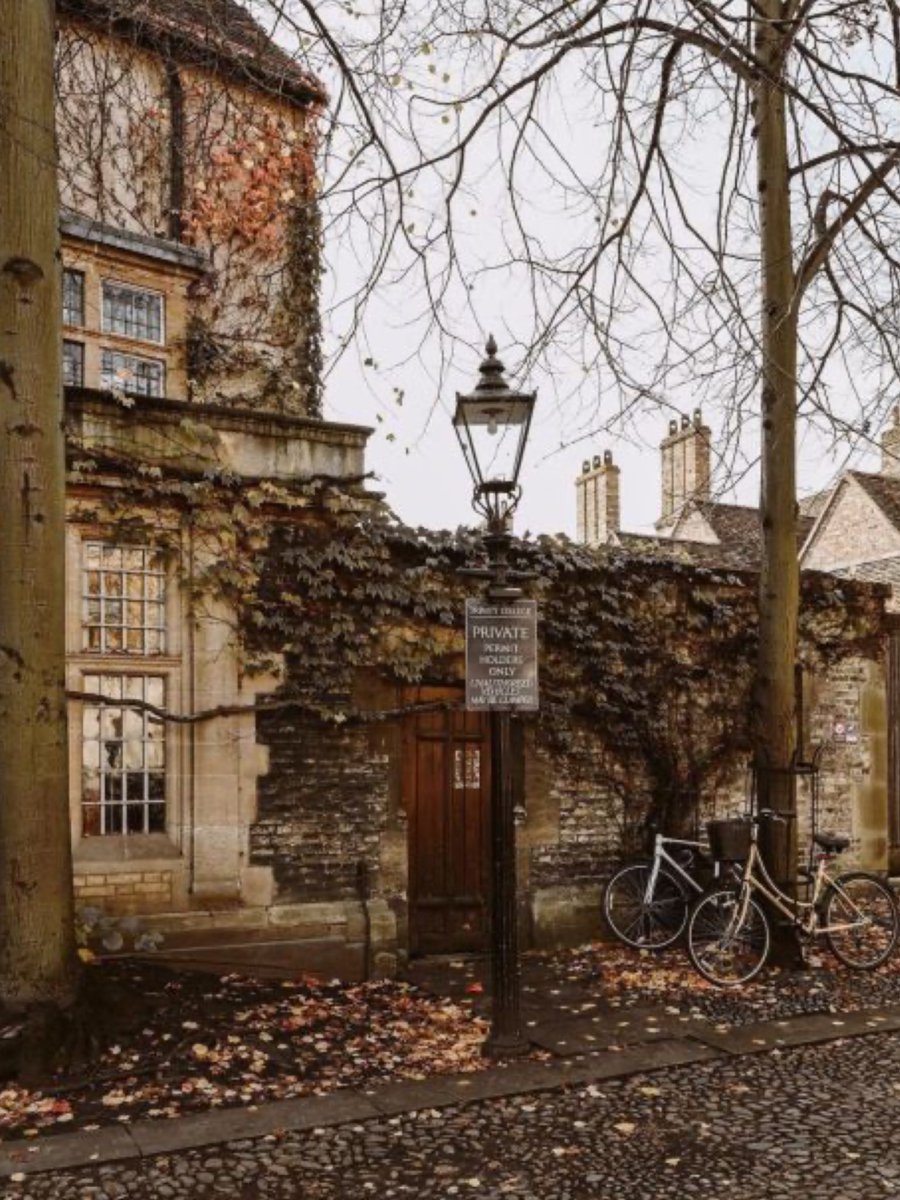 Cobblestones and Autumn 🍂 seldom disappoints