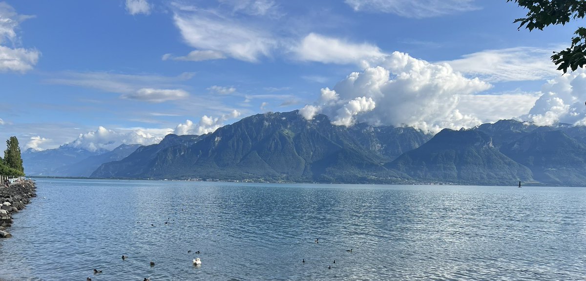Cannot imagine a more stunning location for a corporate HQ than @Nestle’s in Vevey.