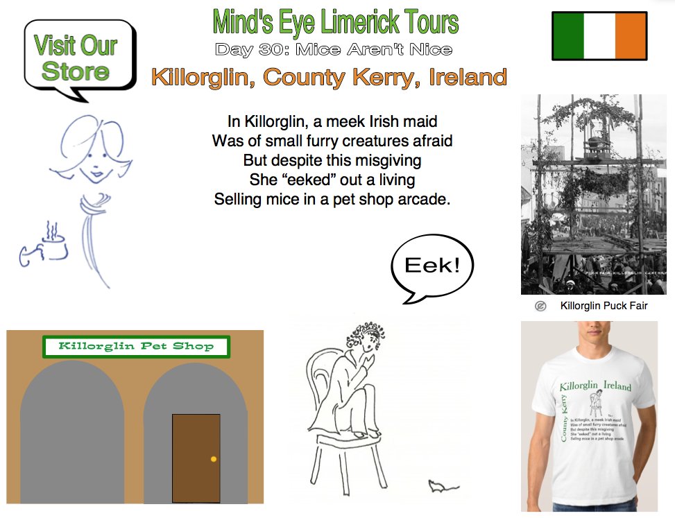 #Limerick #entertainment #humor #store #Killorglin #Kerry #PuckFair #mice #petshop #tshirts mindseyelimericktours.com/?p=145 zazzle.com/minds_eye_lime…