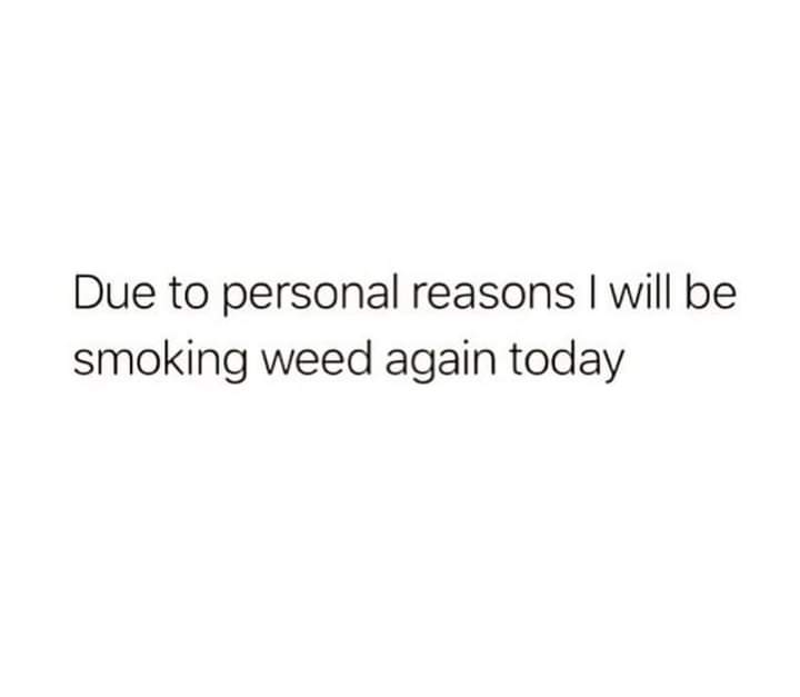 Stoners 🍁 tweet media
