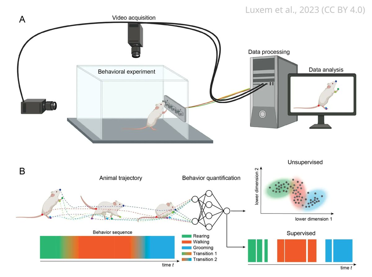 eLife - the journal tweet media