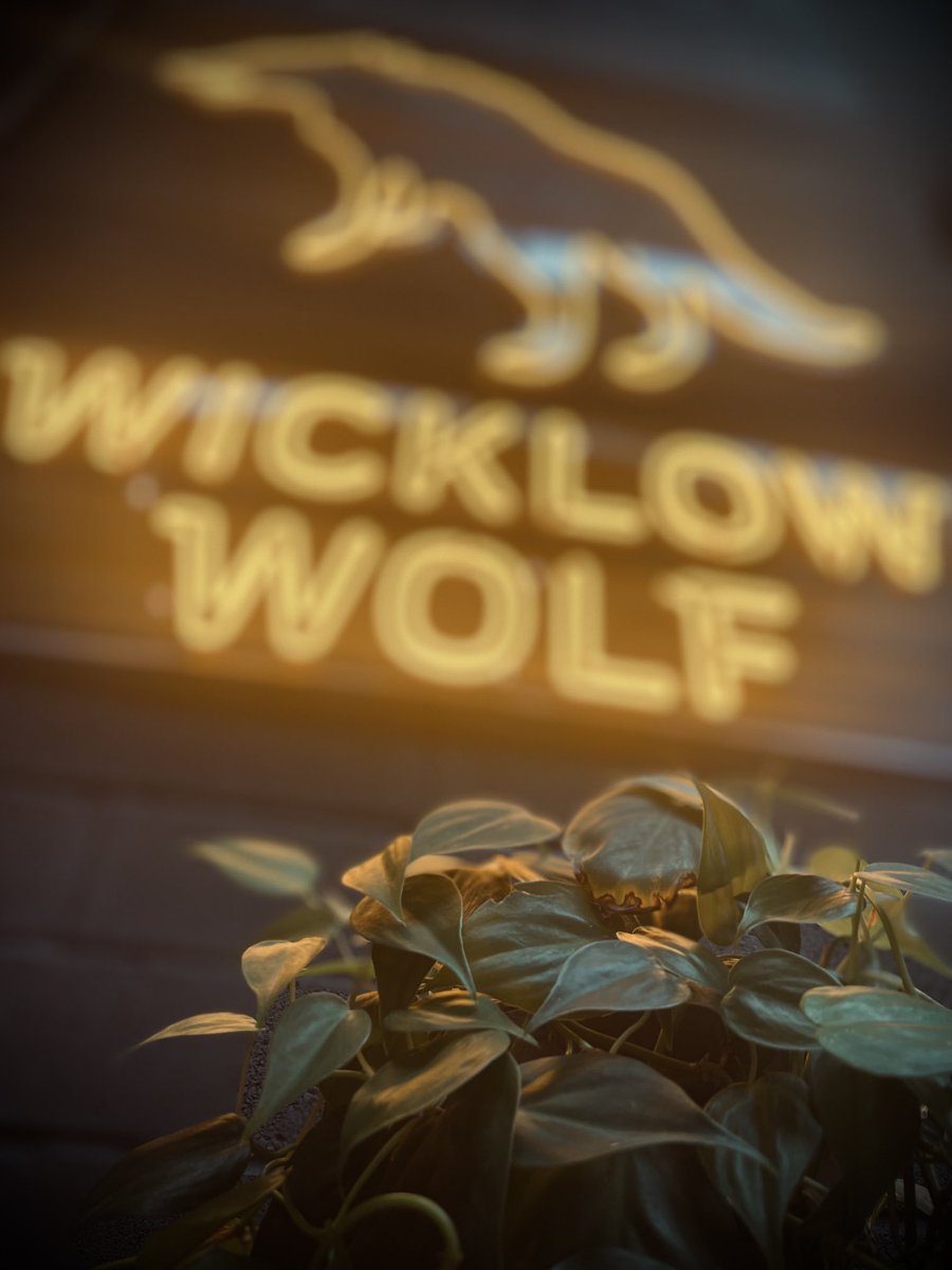 dirwinistheman's tweet photo. ⁦@WWolfBrewery⁩ Best bar in the county. https://t.co/YYUaPNtS0W