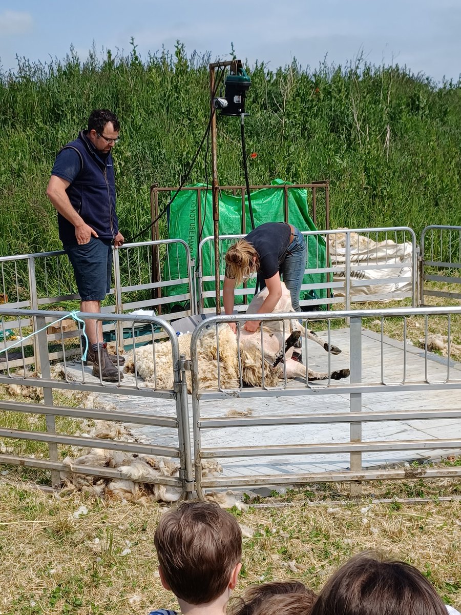 Kimkjaerside's tweet image. We had lunch at @BowhouseFife followed by a tractor 🚜 experience @BalcaskieEstate Seeing sheep sheering, getting up and close with the cattle and travelling around the estate #agritourism #lovefife #familyfun @welcometofife @VisitScotland @ScotAgritourism