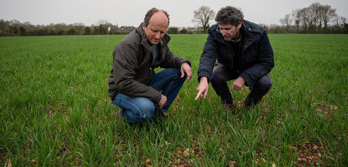 Alain Schuhl (@alainschuhl) on Twitter photo Un laboratoire dans les champs
lejournal.cnrs.fr/articles/dans-… À l’occasion de la Semaine écologie environnement biodiversité, coup de projecteur sur la Zone atelier Plaine et Val de Sèvre, dans laquelle scientifiques et agriculteurs travaillent ensemble depuis 30 ans
@INEE_CNRS <a href="/CNRS/">CNRS 🌍</a> Un laboratoire dans les champs
lejournal.cnrs.fr/articles/dans-… À l’occasion de la Semaine écologie environnement biodiversité, coup de projecteur sur la Zone atelier Plaine et Val de Sèvre, dans laquelle scientifiques et agriculteurs travaillent ensemble depuis 30 ans
@INEE_CNRS <a href="/CNRS/">CNRS 🌍</a>