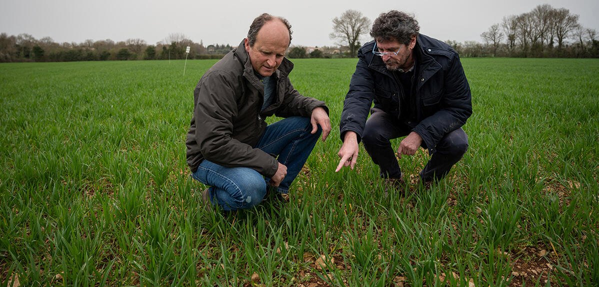 Un laboratoire dans les champs lejournal.cnrs.fr/articles/dans-… À l’occasion de la Semaine écologie environnement biodiversité, coup de projecteur sur la Zone atelier Plaine et Val de Sèvre, dans laquelle scientifiques et agriculteurs travaillent ensemble depuis 30 ans @INEE_CNRS @CNRS