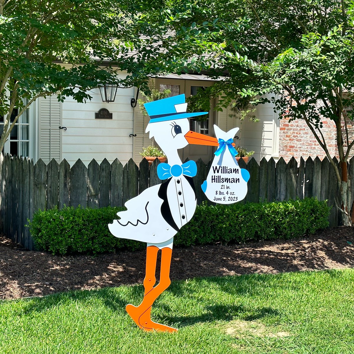 Welcome home William🩵
#sttammanystorksandmore #storklady #stork #yardsign #lawnsign  #babyyardsigns #lanorthshore #northshorela #birthannouncements #covingotnla #mandevillela #northshorestorks #abitaspringsla #madisonvillela #folsomla #edenislesla #amitela #hammondla