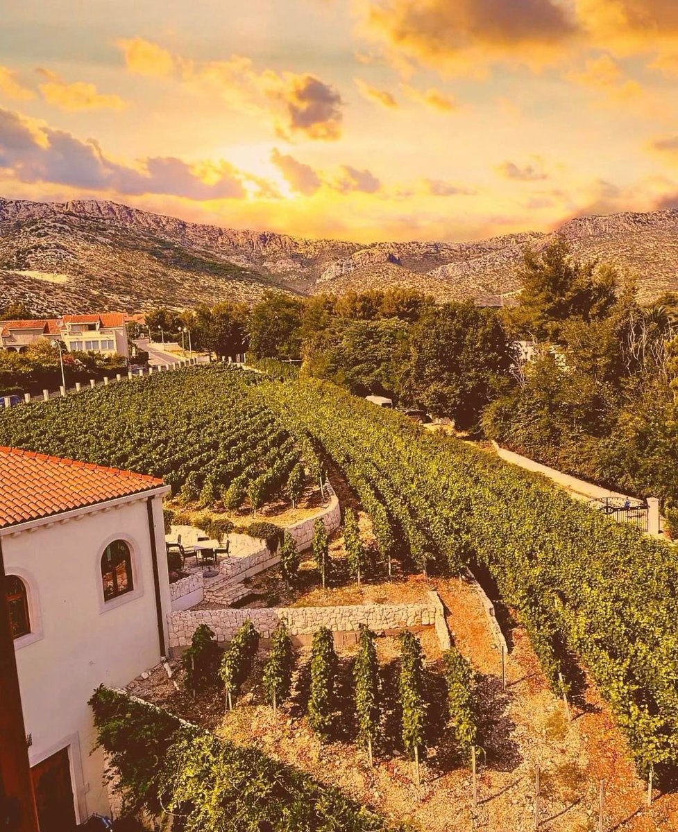 The 2023 @decanter World Wine Awards have been tabulated!  We are thrilled to announce <a href="/KortaKatarina/">Villa Korta Katarina & Winery</a> Reuben’s Private Reserve 2013 scored 96 points resulting in the Gold Award. 🥇 🍷 🍇 

#croatianwine #winelover #somm #kortakatarina