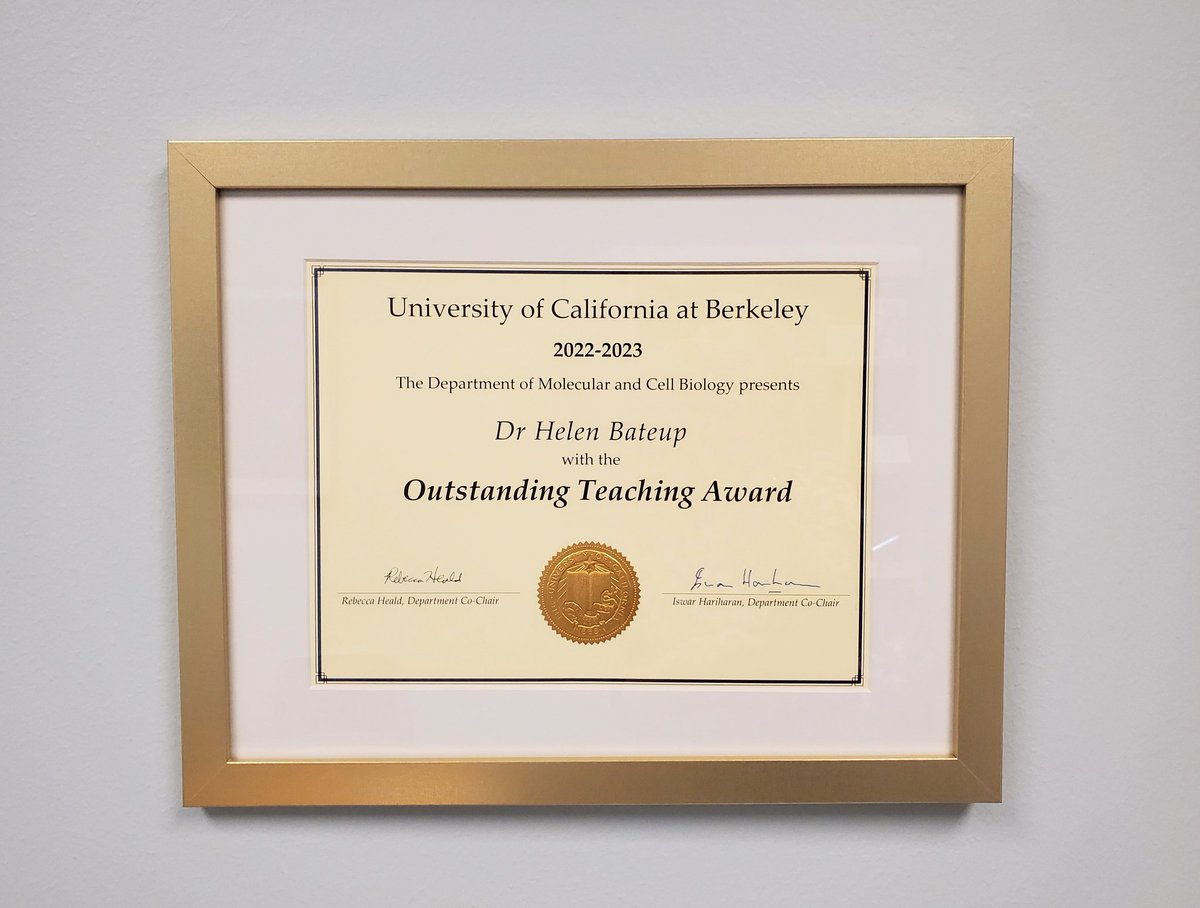 Bateup Lab (@bateuplab) on Twitter photo Honored to have received the <a href="/berkeleyMCB/">UC Berkeley MCB</a> teaching award together with @DavidGDrubin this year! Thanks to those who nominated me and thanks to the students for their enthusiasm for neurobiology! π¬π§ͺπ©βπ¬π§ Honored to have received the <a href="/berkeleyMCB/">UC Berkeley MCB</a> teaching award together with @DavidGDrubin this year! Thanks to those who nominated me and thanks to the students for their enthusiasm for neurobiology! π¬π§ͺπ©βπ¬π§