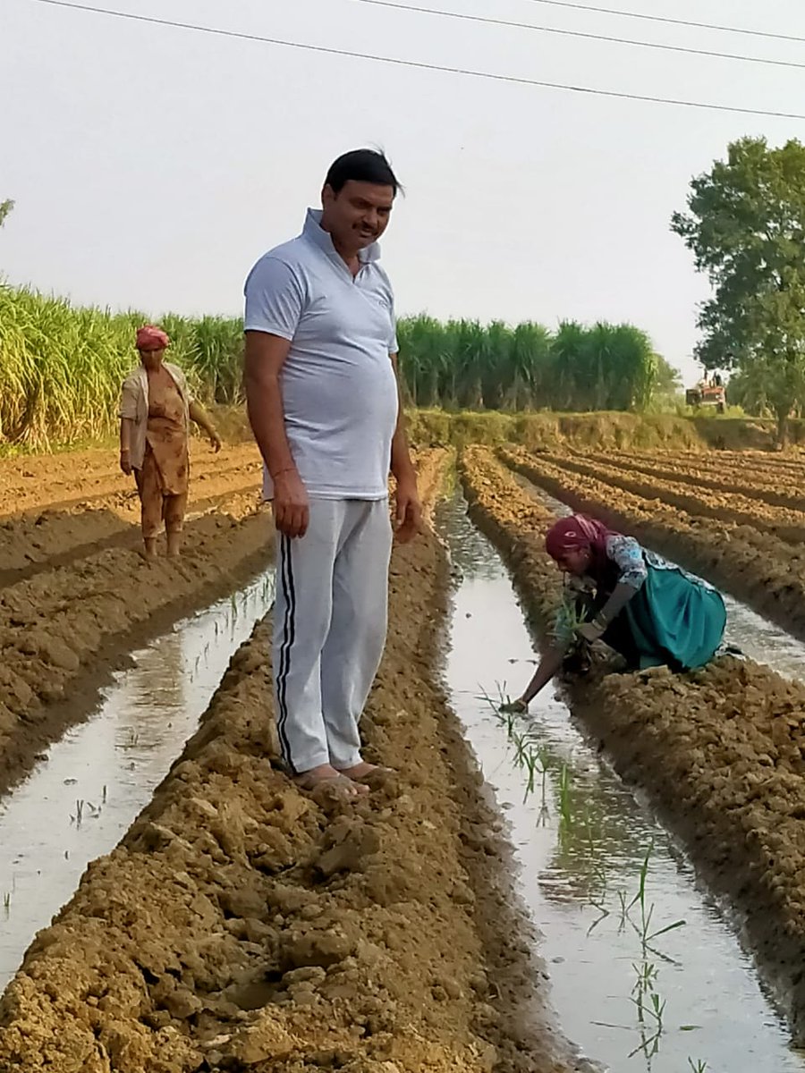 आज प्रदेश में 60 लाख किसान परिवार यानि लगभग 3 करोड़ लोग सीधे व एक बहुत बड़ी संख्या में लोग 118 चीनी मिलों या प्रोसेस/लोजिस्टिक्स इंडस्ट्री में जुड़कर अपना जीवनयापन कर रहे हैं।राज्य सरकार इन सबके हित के संवर्धन व लगातार बेहतर बनाने हेतु नियोजित तरीक़े से काम कर रही है।