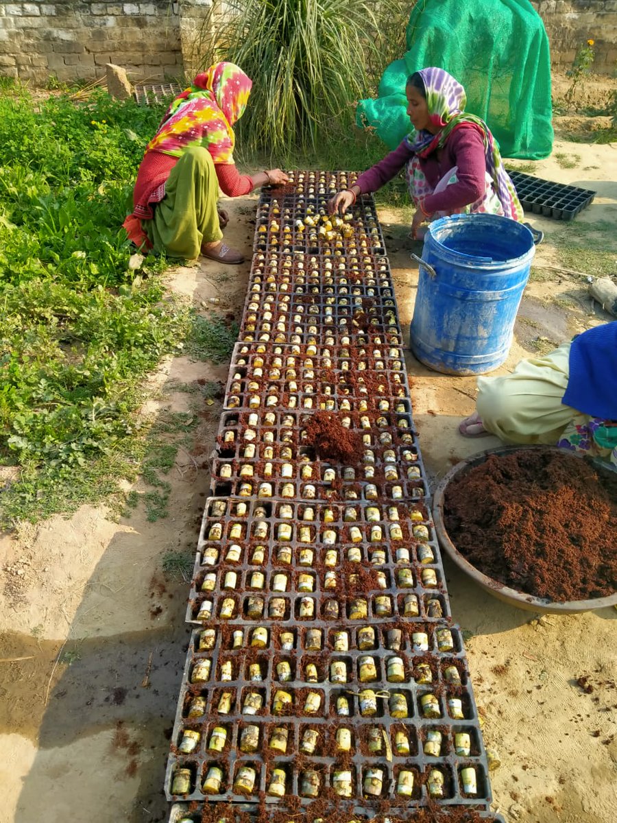 मैं राज्य गन्ना उत्पादन प्रतियोगिताओं के विजेताओं व नवनिर्मित भवनों के लोकार्पण पर बहुत-बहुत बधाई देता हूँ। गन्ना व चीनी उत्पादन में उत्तर प्रदेश के किसानों व चीनी मिलों की भूमिका अत्यन्त सराहनीय है। गन्ना प्रशासन से जुड़े हर कोई को इस बेहतरीन कार्य के लिये बहुत-बहुत बधाइयाँ!