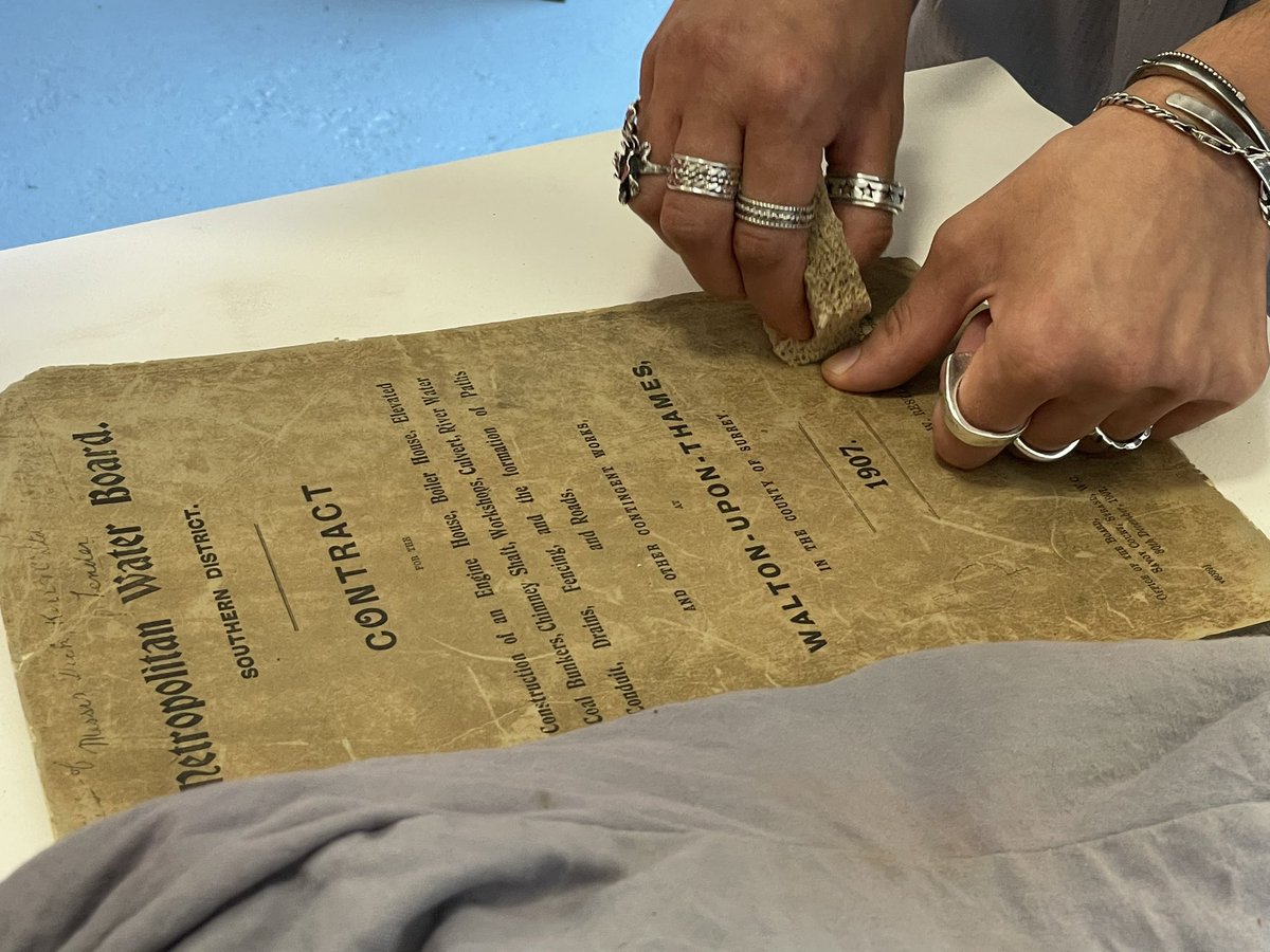 Melissa Maynard-Linsey tweet media