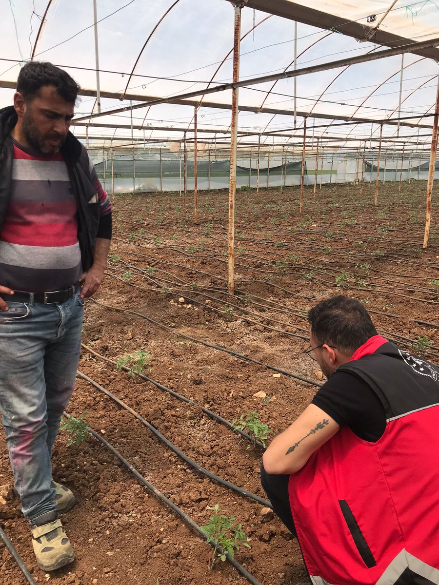 antalyailtarim's tweet photo. #Korkuteli'de #domatesgüvesi zararlısına karşı asılan tuzakları kontrol ederek üreticileri bilgilendirdik. #Elmalı'da gıda üretimi yapan işletme imalathanelerinde #gıdagüvenliği denetimi gerçekleştirdik.

#Alo174Gıda
#GelecekTarımda

@ibrahimyumakli 
@ersinyazici1
@gokhankaraca_ https://t.co/DZQPoLaEN8