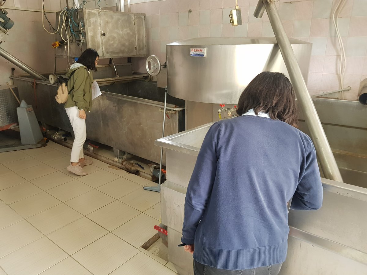 antalyailtarim's tweet photo. #Korkuteli'de #domatesgüvesi zararlısına karşı asılan tuzakları kontrol ederek üreticileri bilgilendirdik. #Elmalı'da gıda üretimi yapan işletme imalathanelerinde #gıdagüvenliği denetimi gerçekleştirdik.

#Alo174Gıda
#GelecekTarımda

@ibrahimyumakli 
@ersinyazici1
@gokhankaraca_ https://t.co/DZQPoLaEN8