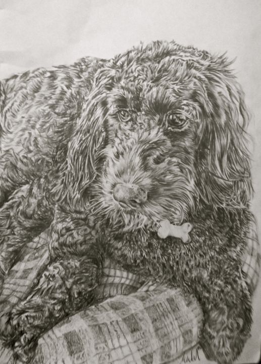 Art of the Day: 'Labradoodle'. Buy at: ArtPal.com/redmaidenart?i…