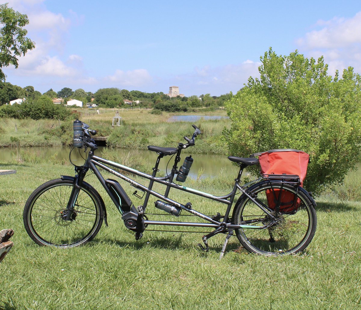 Martin Hey tweet media