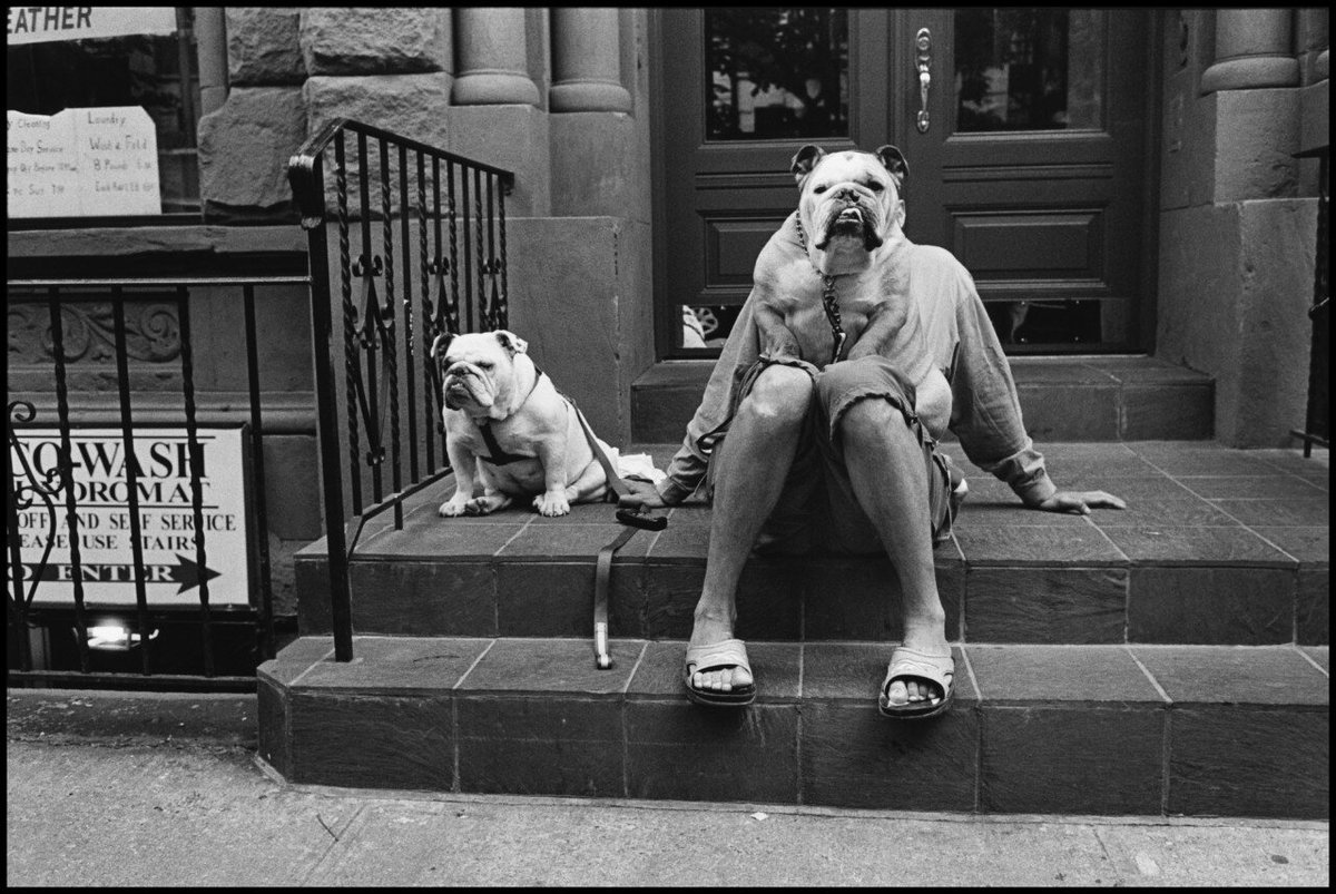 dnlbrbs's tweet photo. @contextdogs Reminded me of this photo by Elliott Erwitt https://t.co/GncMk89evi