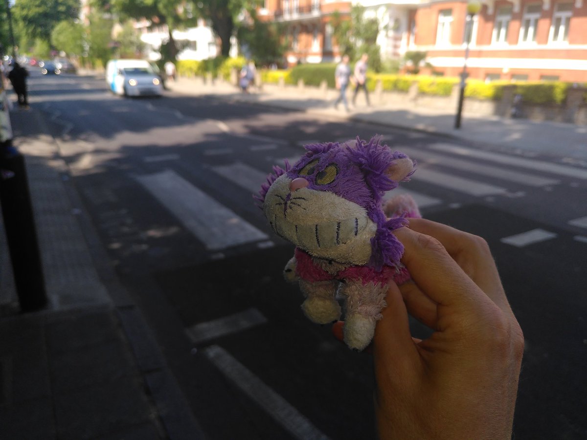 Dancetaremi tweet media