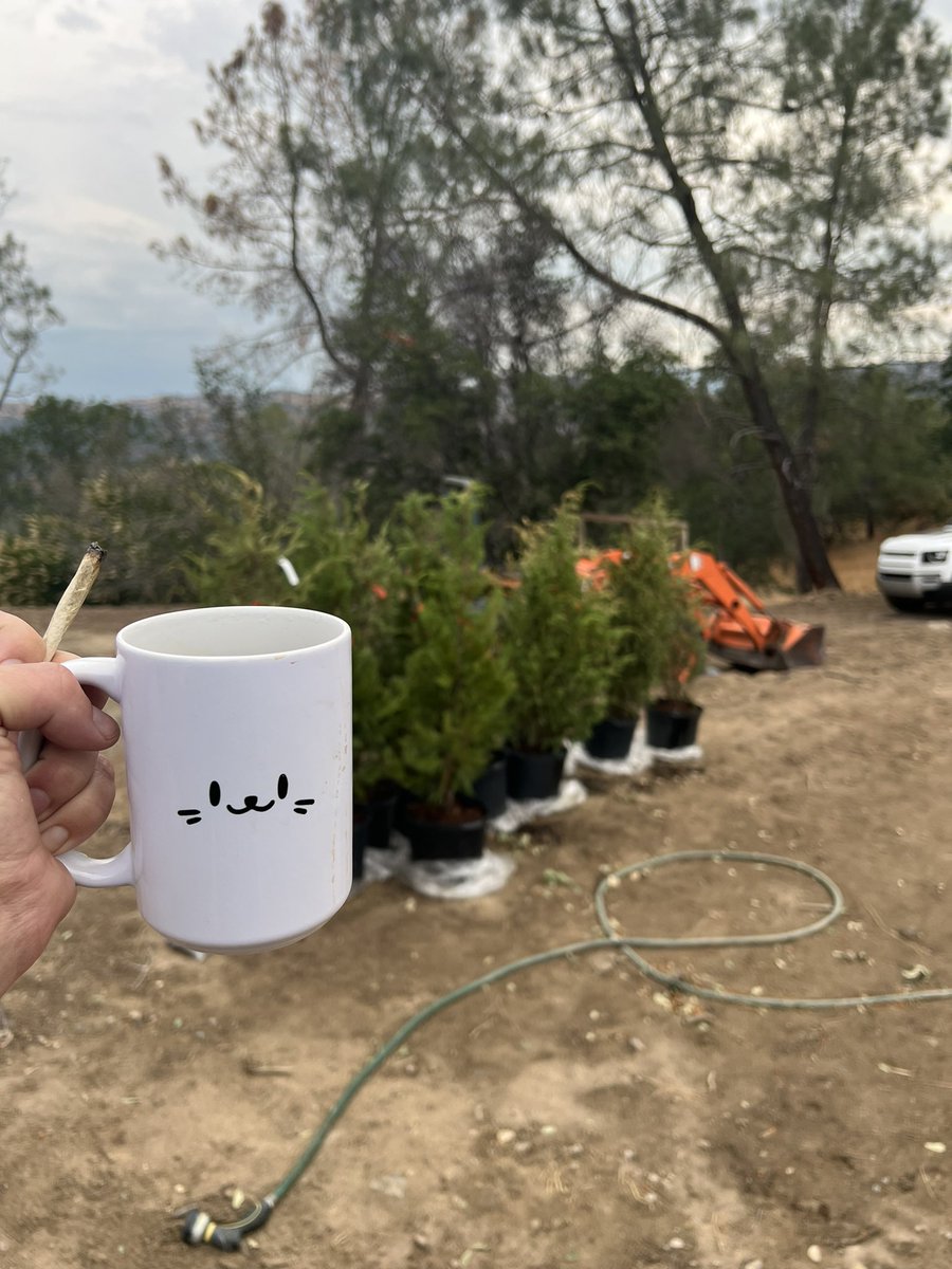 gpsmatty.eth 🇺🇸 tweet media