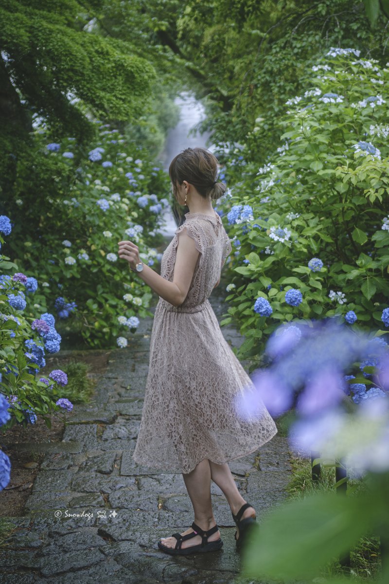 紫陽花。 　(過去写真より)

#portraitphotography 
#ポートレート