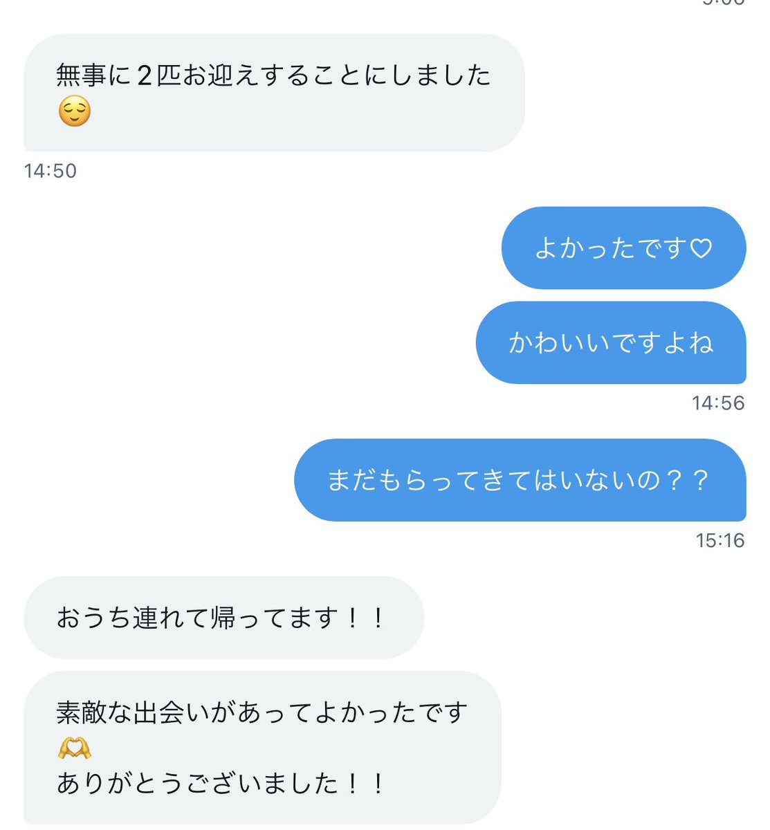 nobusummer0423's tweet photo. 子猫の譲渡先が決まりました✨✨
　優しい飼い主に出会うことができて
兄弟離れ離れになることなく
一緒のおうちの子になれました👏😍

Twitterのおすすめから見つけてくれたそうです🥹
良縁に感謝です。

子猫たちにサチアレ💕🐈🐈
そして
子猫たちをよろしくお願いします🫶🫶 https://t.co/PGyIAusCHF