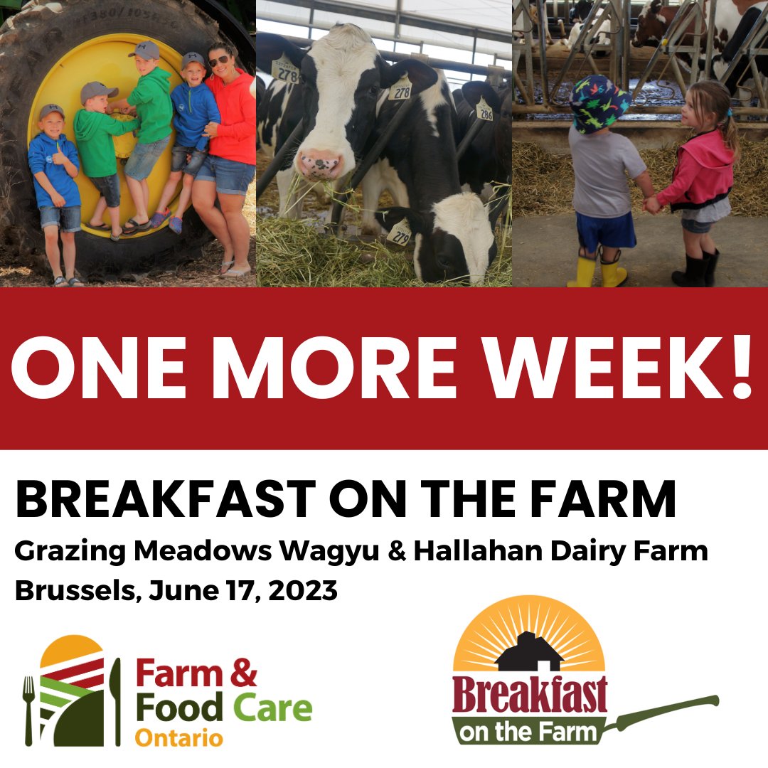 We are ONE week from Breakfast on the Farm: Farm Crawl Edition in Huron County!
Take a beef farm tour while eating a tasty breakfast sandwich and a dairy farm tour while enjoying an ice cream.
Tickets are selling fast; reserve them before they're gone!
ow.ly/W4ei50OAVNi